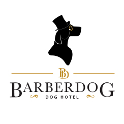 Barber Dog
